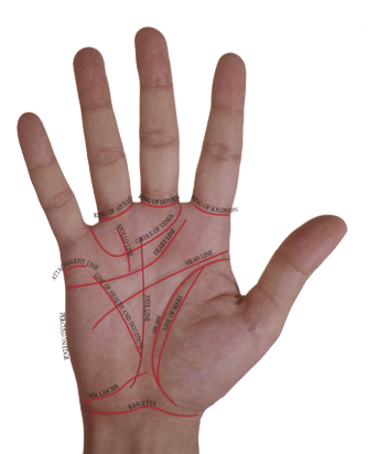 palmistry